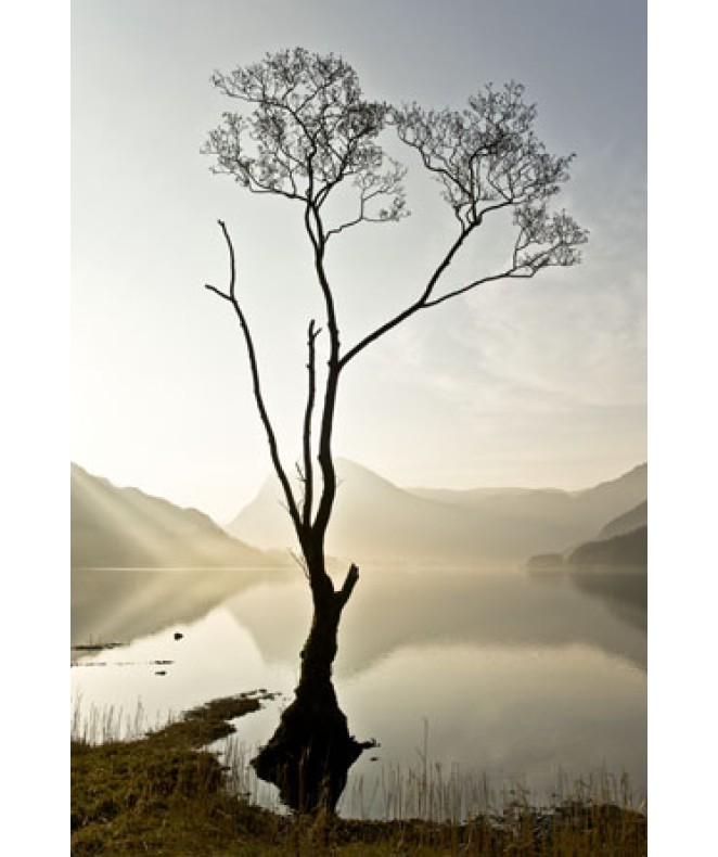 Spring Mist Buttermere